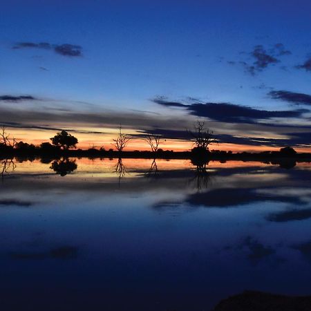 Madikwe River Lodge By Dream Resorts Madikwe viltreservat Exteriör bild