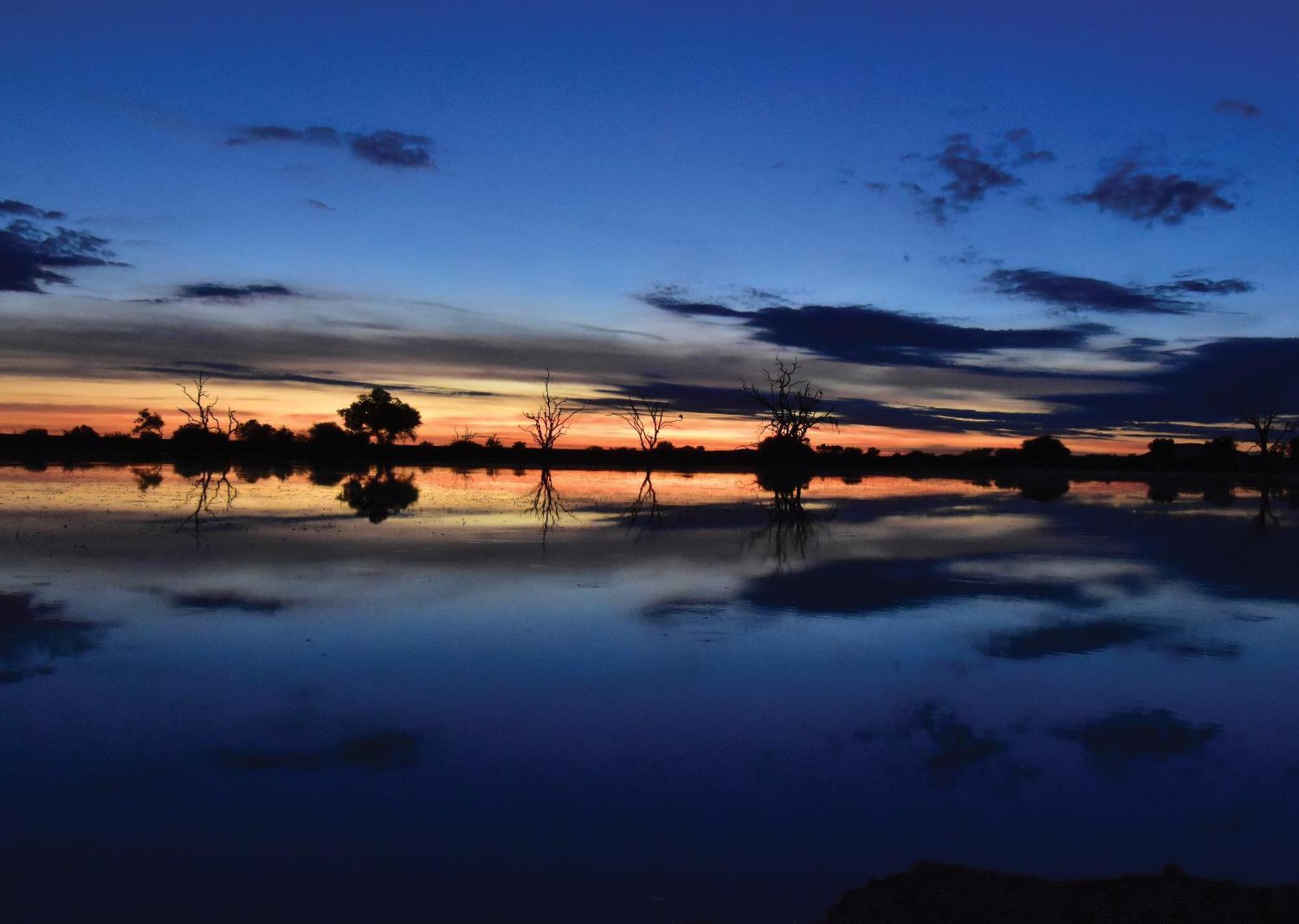 Madikwe River Lodge By Dream Resorts Madikwe viltreservat Exteriör bild