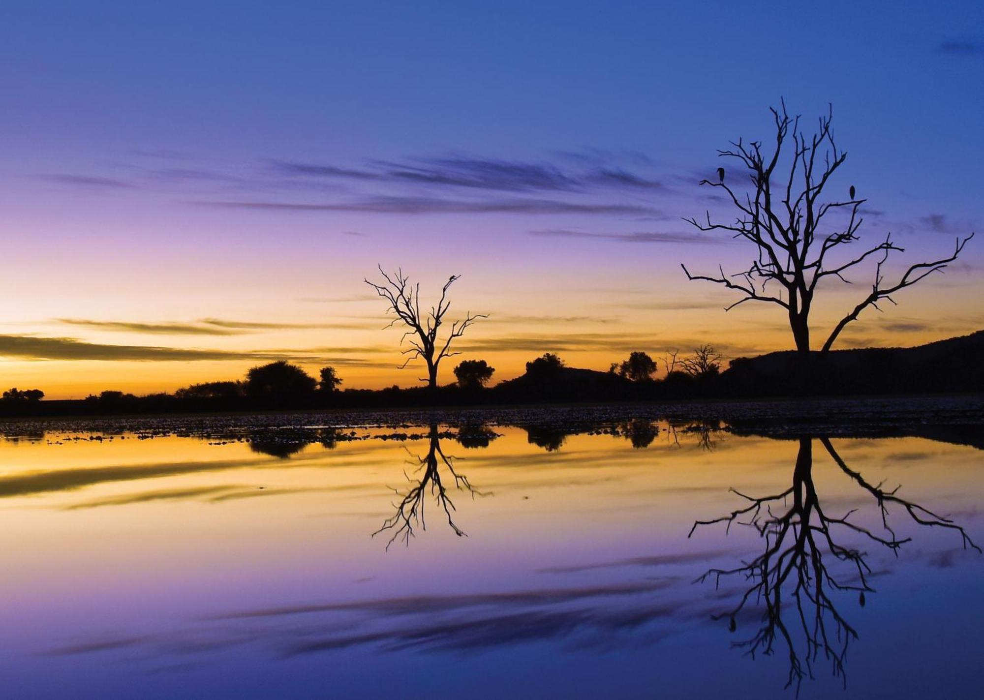 Madikwe River Lodge By Dream Resorts Madikwe viltreservat Exteriör bild