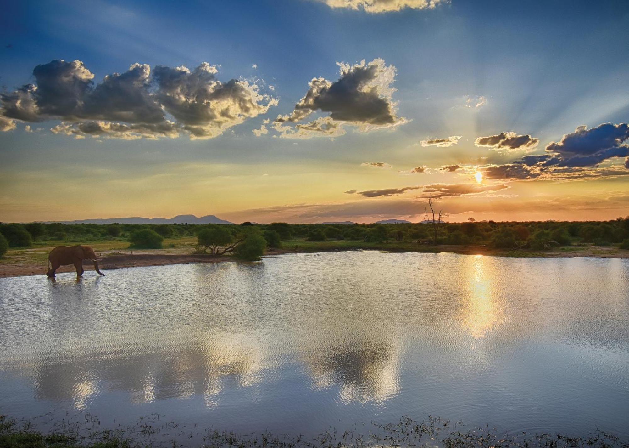 Madikwe River Lodge By Dream Resorts Madikwe viltreservat Exteriör bild