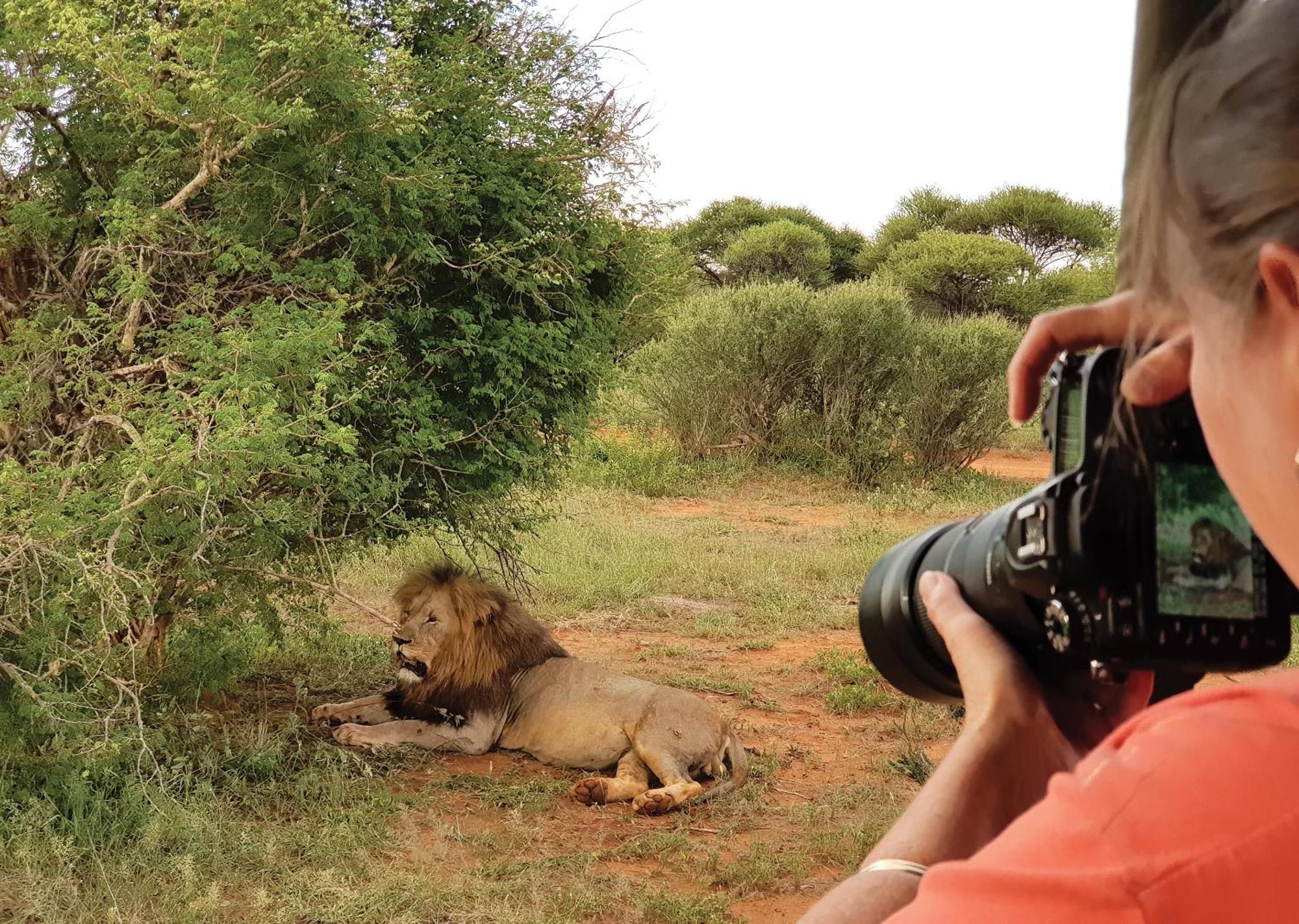 Madikwe River Lodge By Dream Resorts Madikwe viltreservat Exteriör bild