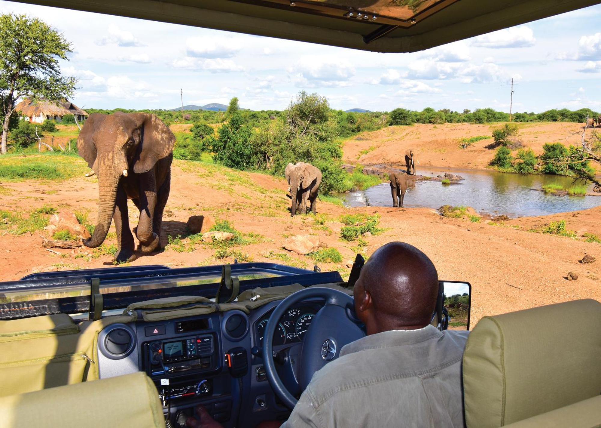 Madikwe River Lodge By Dream Resorts Madikwe viltreservat Exteriör bild