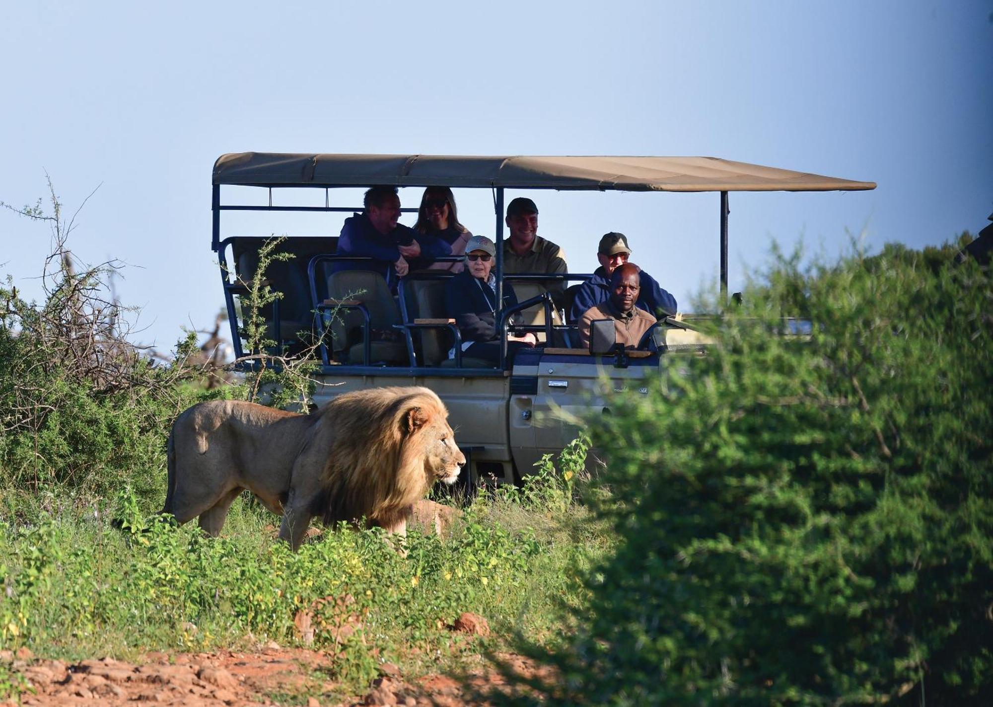 Madikwe River Lodge By Dream Resorts Madikwe viltreservat Exteriör bild