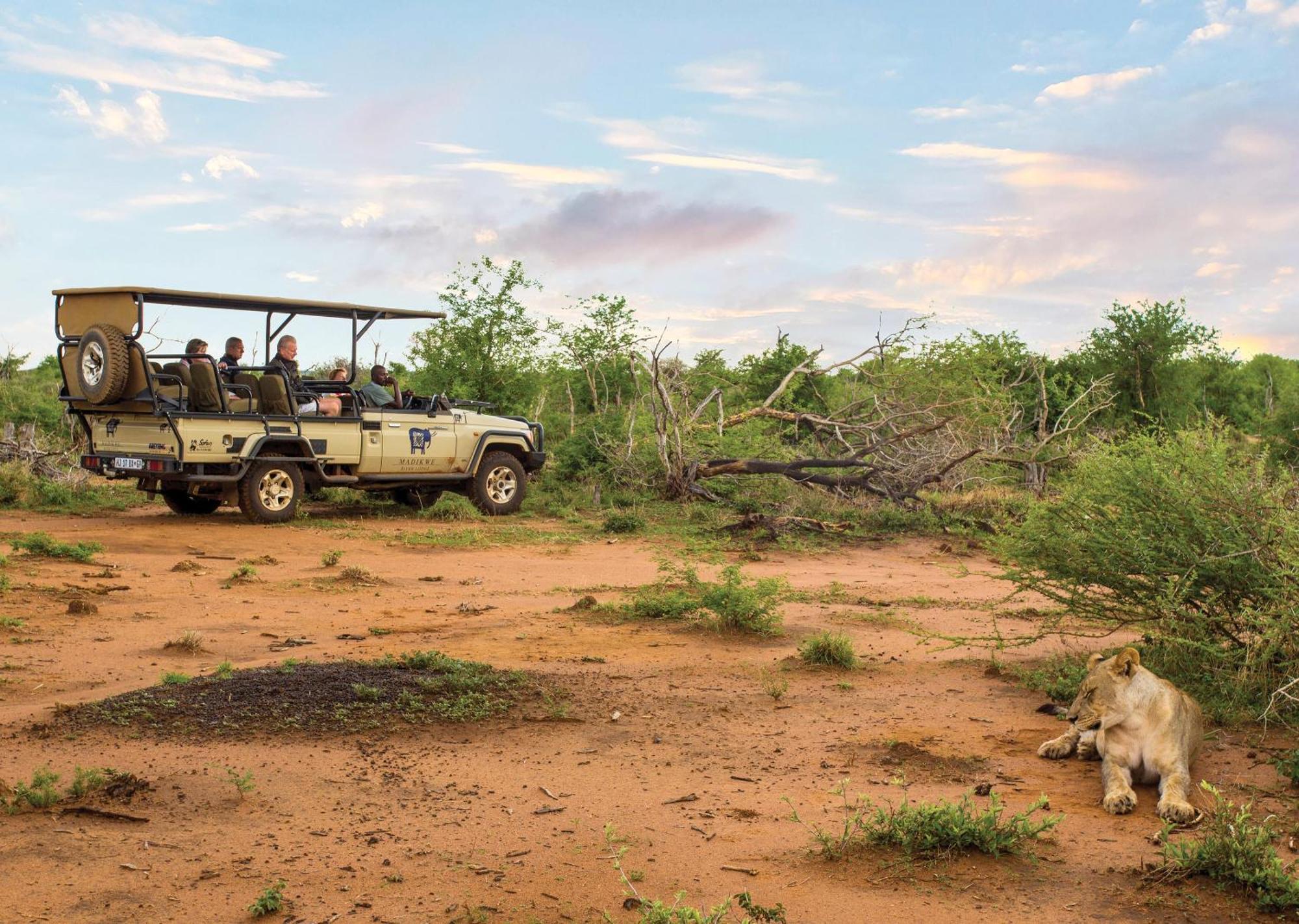 Madikwe River Lodge By Dream Resorts Madikwe viltreservat Exteriör bild
