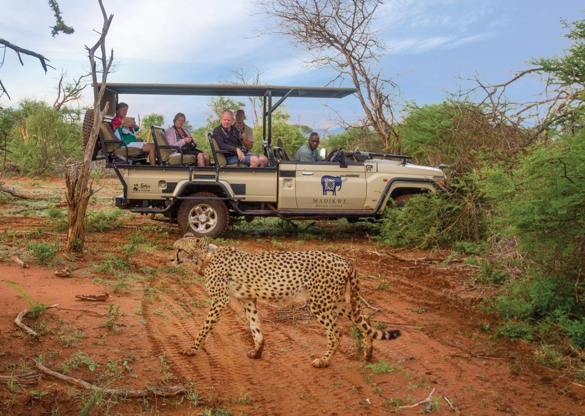 Madikwe River Lodge By Dream Resorts Madikwe viltreservat Exteriör bild